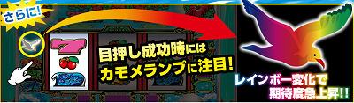 ニューシオサイ 攻略 カモメ レインボー